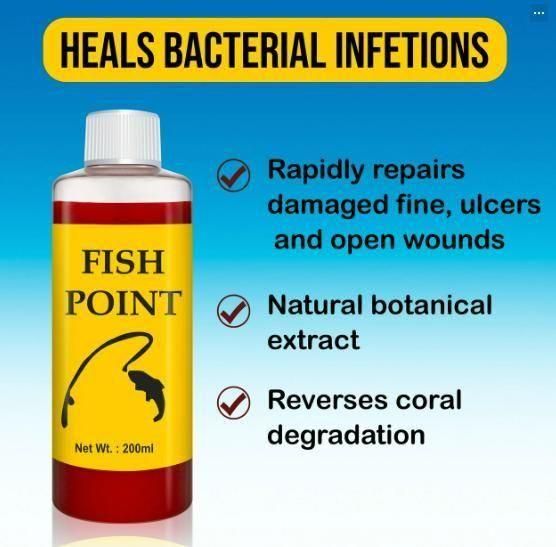 FISH POINT NATURAL BAIT FOR FISH 200ML (Pack of 2)