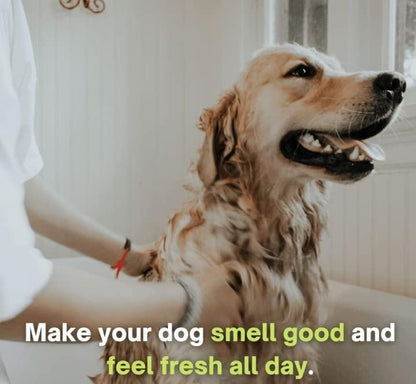 Anti-Itch Dog Shampoo|Ditch to Itch
