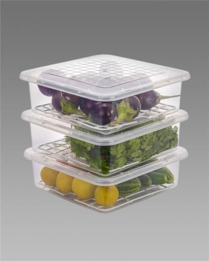 Fridge Storage Containers