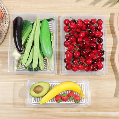 Fridge Storage Containers