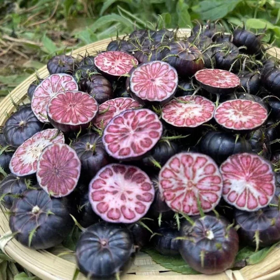 Red Berry Ginseng