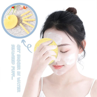 Compressed Facial Sponge, Face Cleansing Sponges with Storage Container