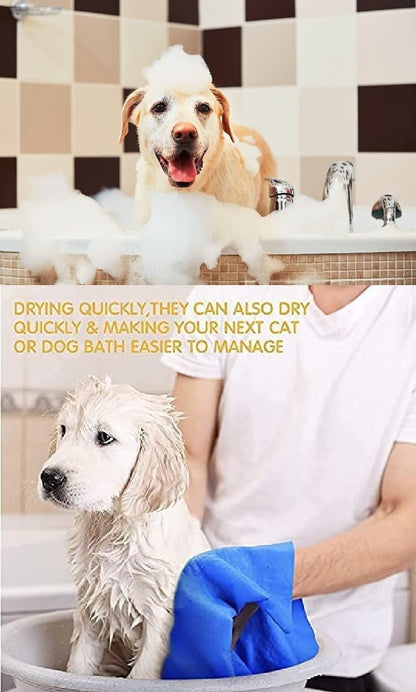 Anti-Itch Dog Shampoo|Ditch to Itch